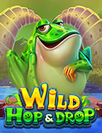 เกม สล็อต ace333 ที่น่าลองสำหรับมือใหม่